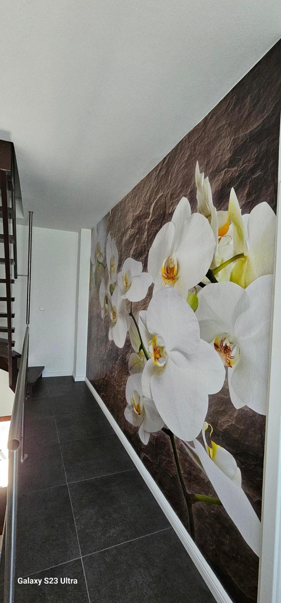 Gaestehaus Orchidee Hoya Eksteriør billede